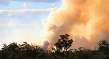 Perth Hill Bushfires | Information for our impacted customers